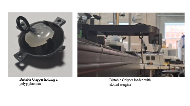 Gripper holding a phantom with slotted weights hanging below